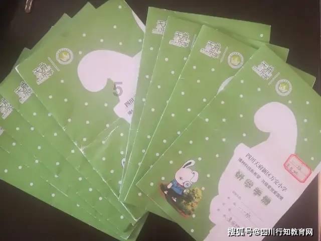 合金装备：幸存